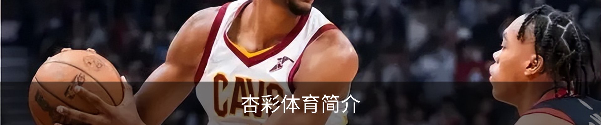 杏彩体育简介